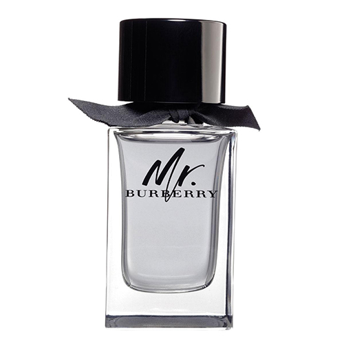 Burberry Mr Burberry EdT 100ml