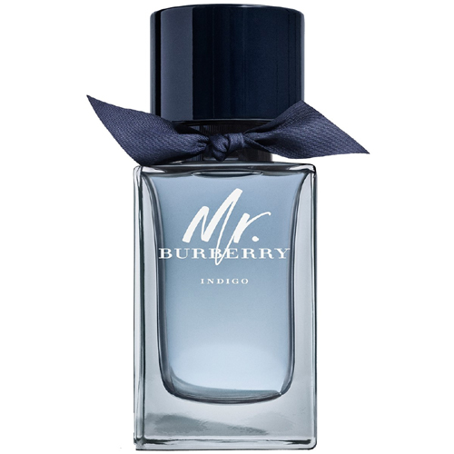 Burberry Mr Burberry Indigo EdT 100ml