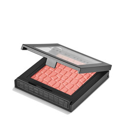 Make Up Store Blush Dream