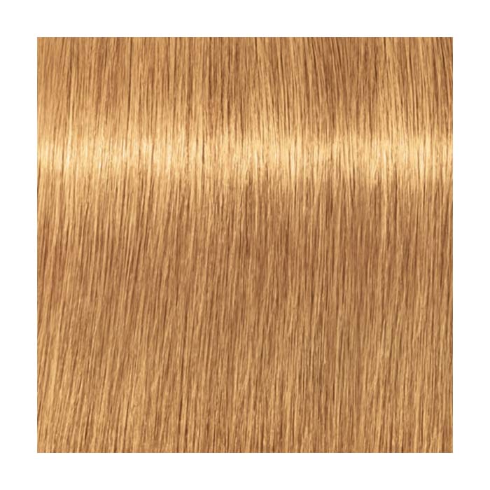 Schwarzkopf Professional Igora Vibrance Kit 9.5-5 Gold Toner Schwarzkopf Professional Igora Vibrance Kit 9.5-5 Gold Toner