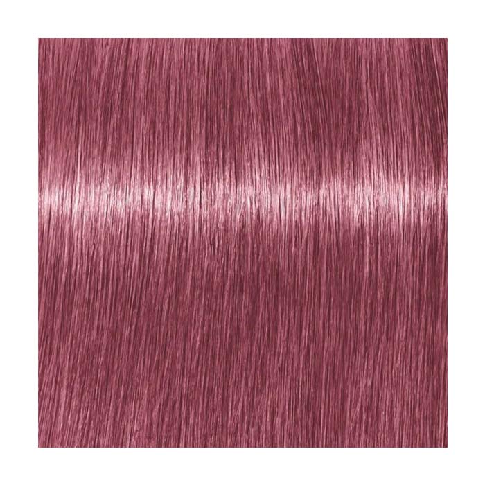Schwarzkopf Professional Igora Vibrance Kit 9.5-98 Violet Red Toner Schwarzkopf Professional Igora Vibrance Kit 9.5-98 Violet Red Toner